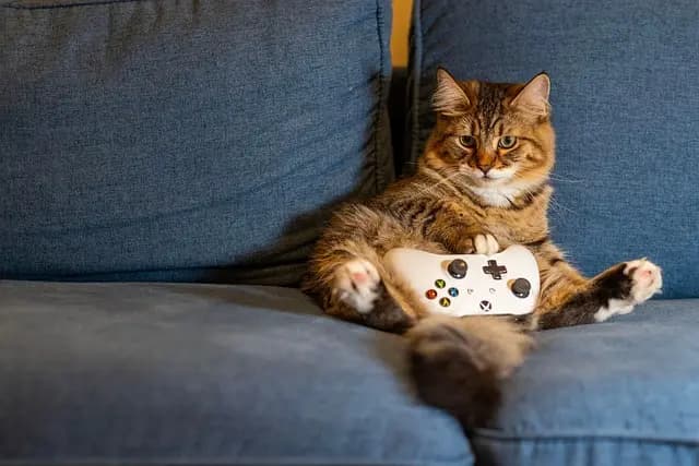 Jakie akcesoria gamingowe warto mieć w swojej strefie gamingu?